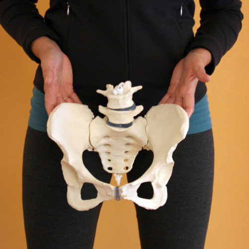 4 Fast Fixes for Pelvic Floor Disorder