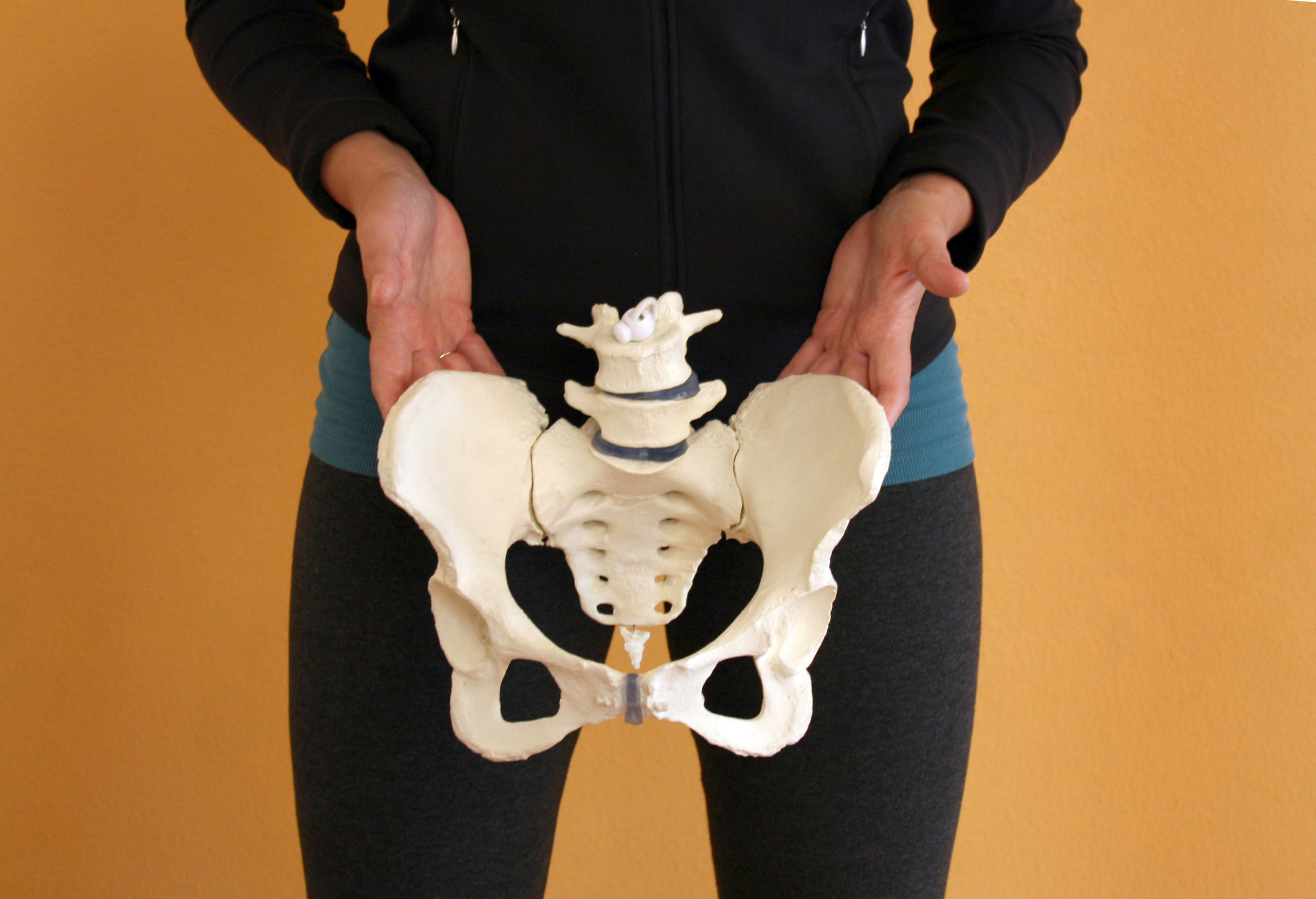 Pelvic Floor & Whole Body Physical Therapy